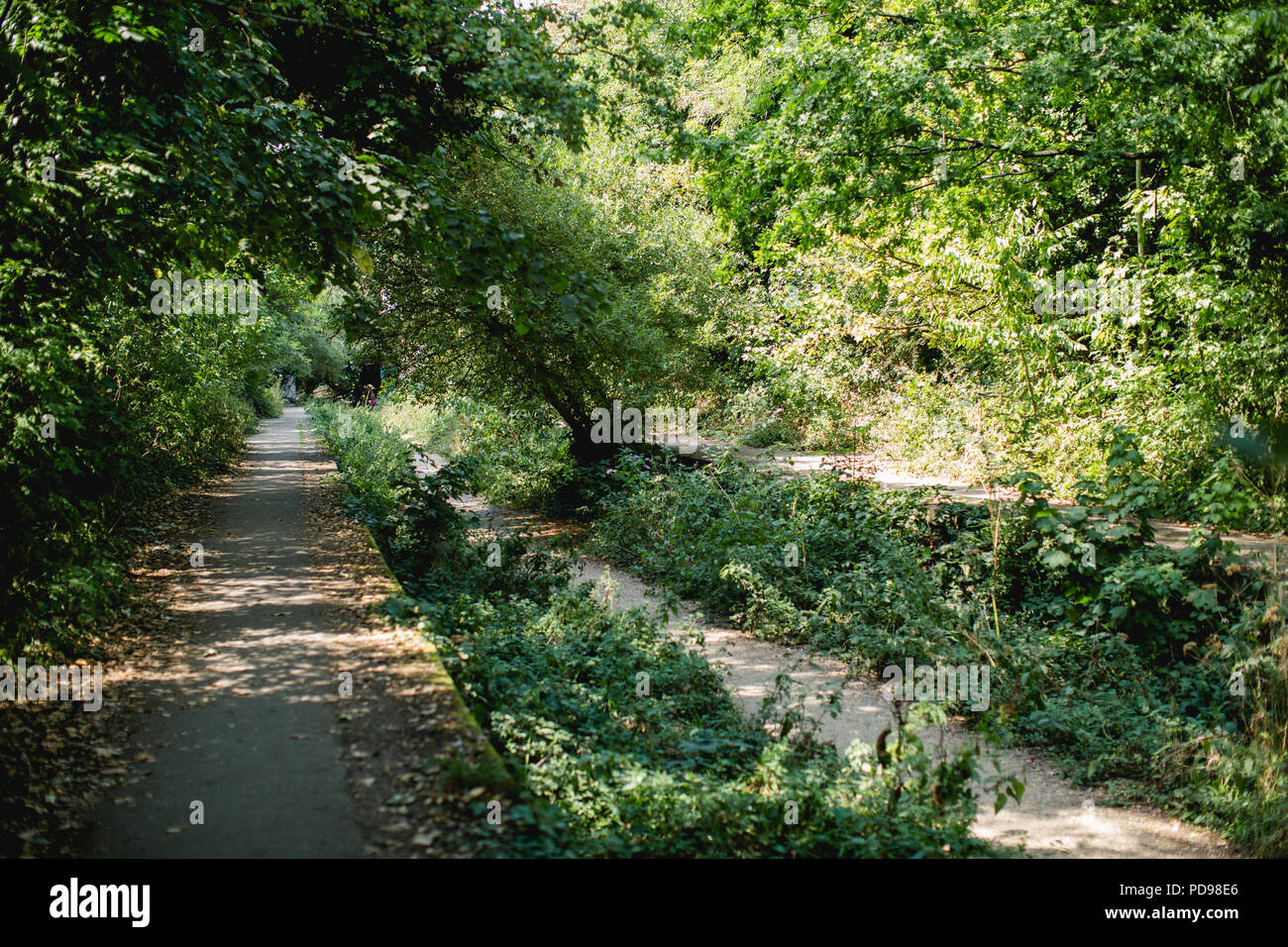 Disused, overgrown concrete train platforms of the old Crouch End Station along the old railway line/ track of the Parkland Walk in Haringey, N.London Stock Photo