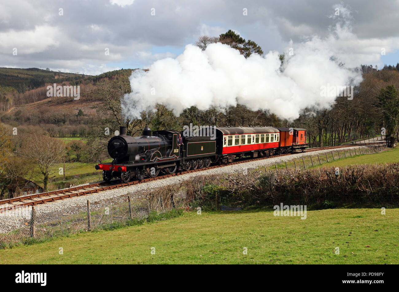 T9 30120 passes Charlies Gate  on the Bodmin & Wenford steam Railway 21.4.12 Stock Photo