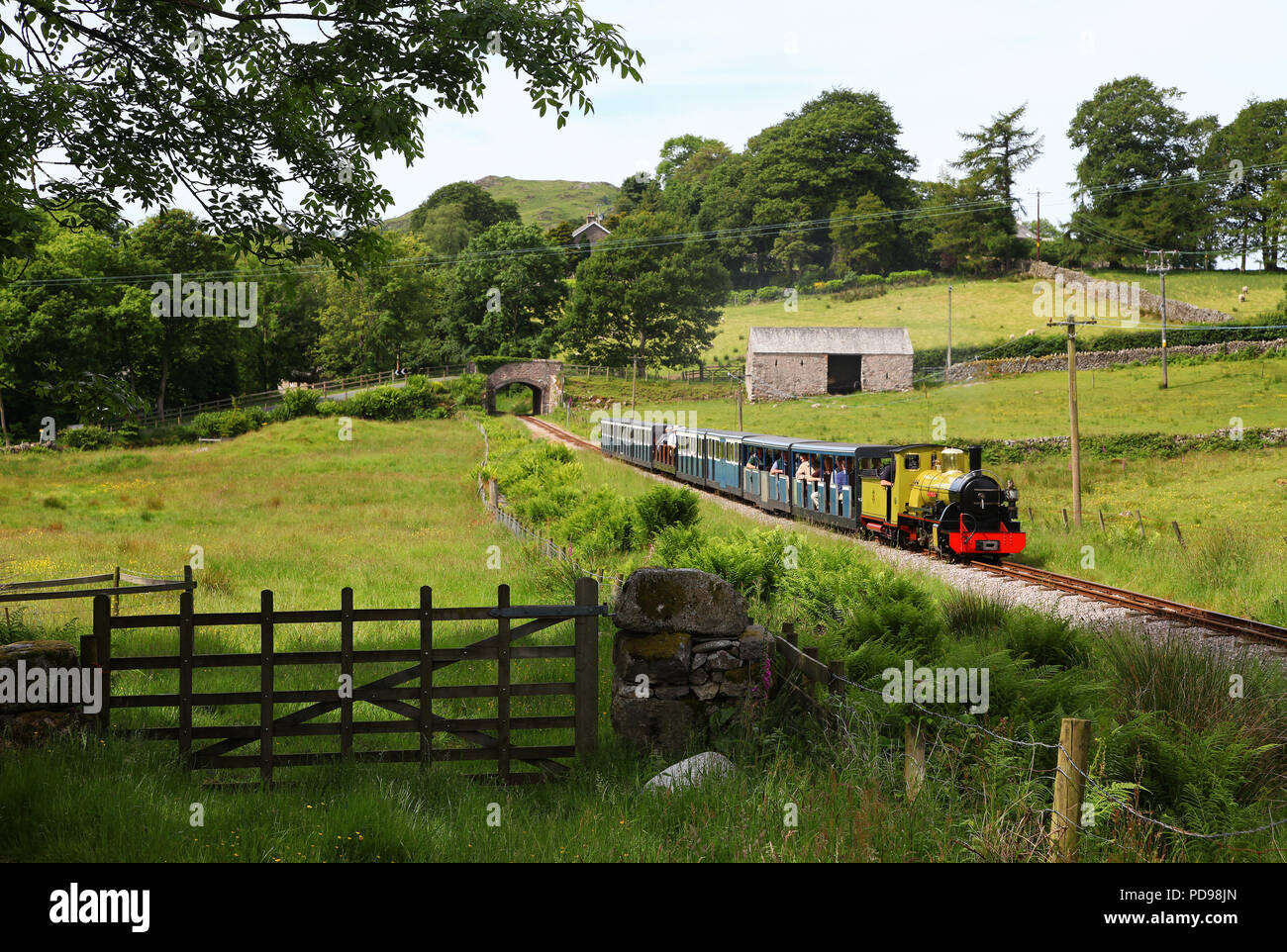 'Northern Rock' heads up Hollinghow bank as the train heads for Dalegarth. Stock Photo