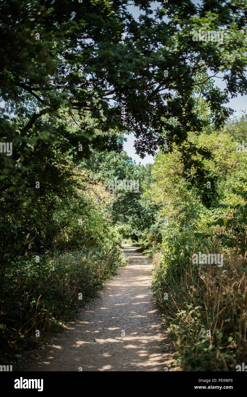 The Parkland Walk Nature Reserve Is A Tree Lined Walk Along An Old