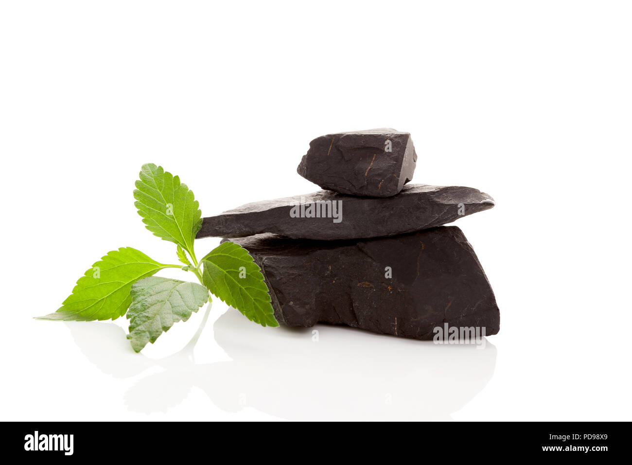 Shungite stone isolated on white background. Stock Photo