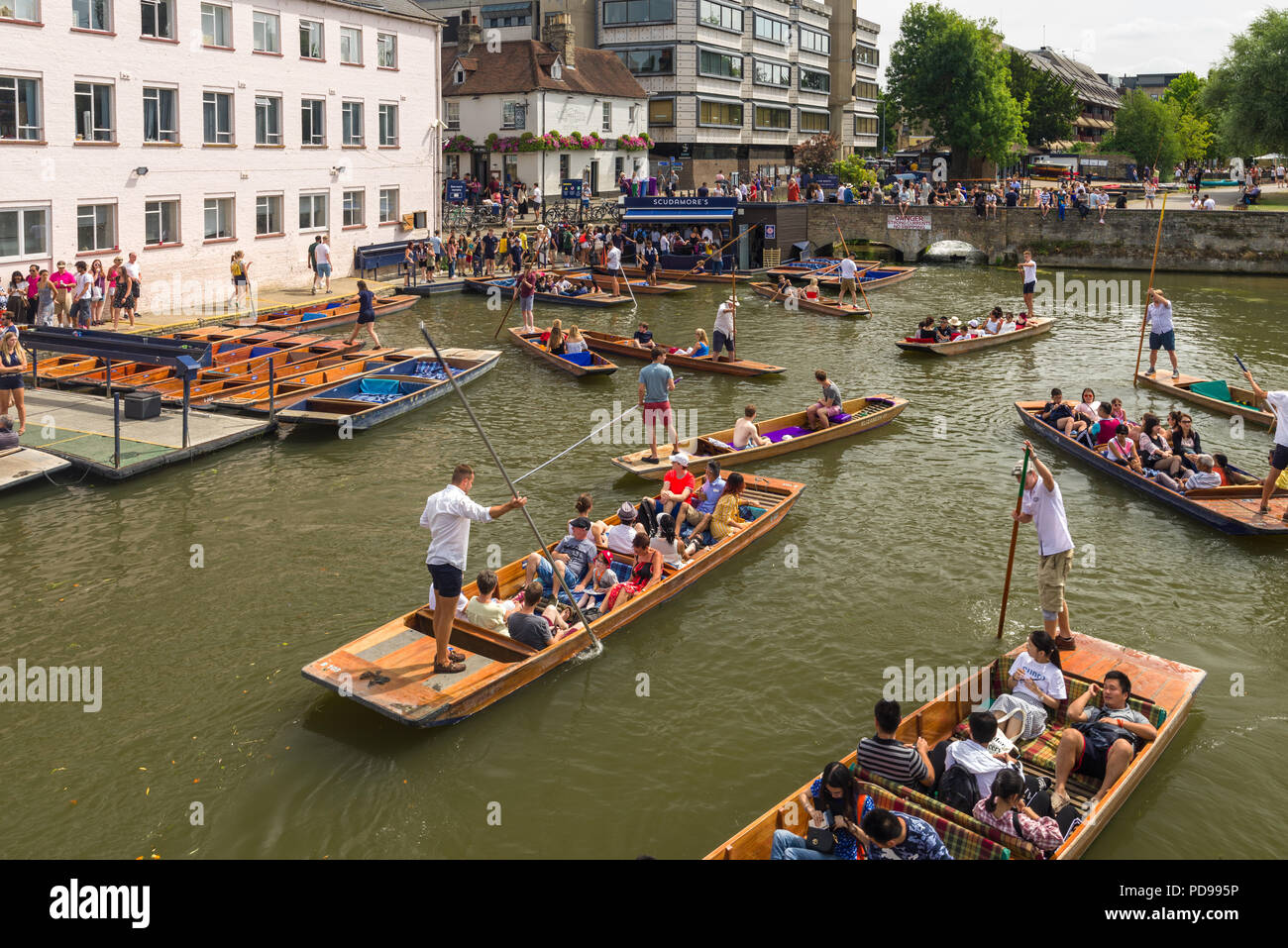 Several punt boats with people near Scudamores on Mill lane on a sunny Summer day, Cambridge, UK Stock Photo