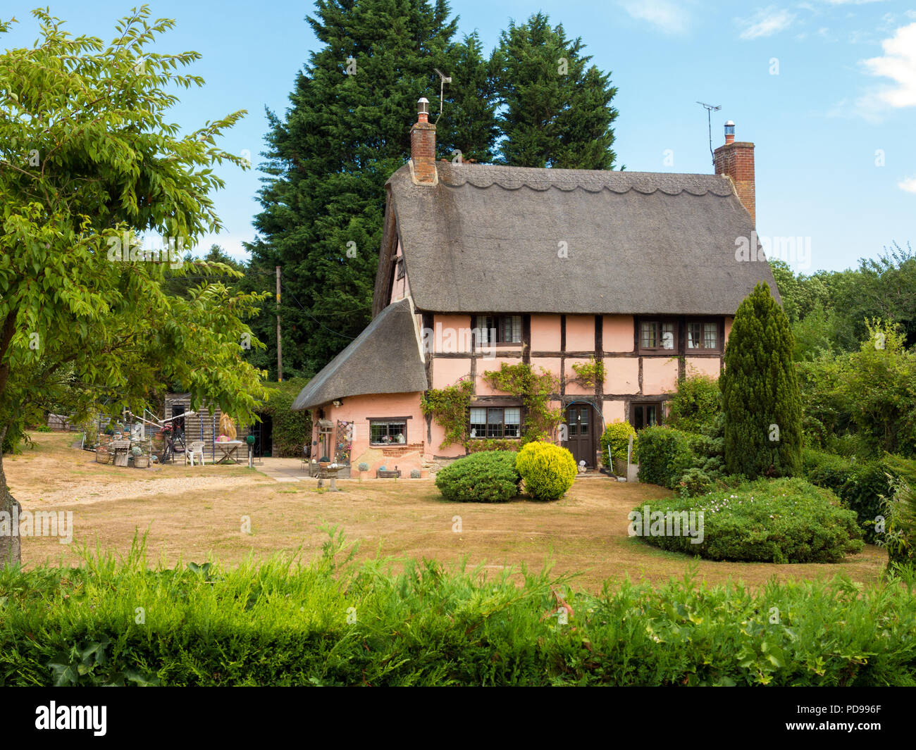 Thatched roof pink painted half timbered country cottage in an English