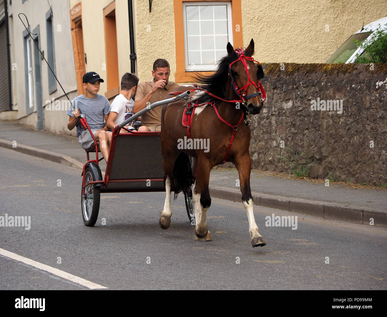 Horse and trap racing up Fair Hill at the annual Appleby Horse Fair, Appleby in Westmorland Cumbria England UK Stock Photo