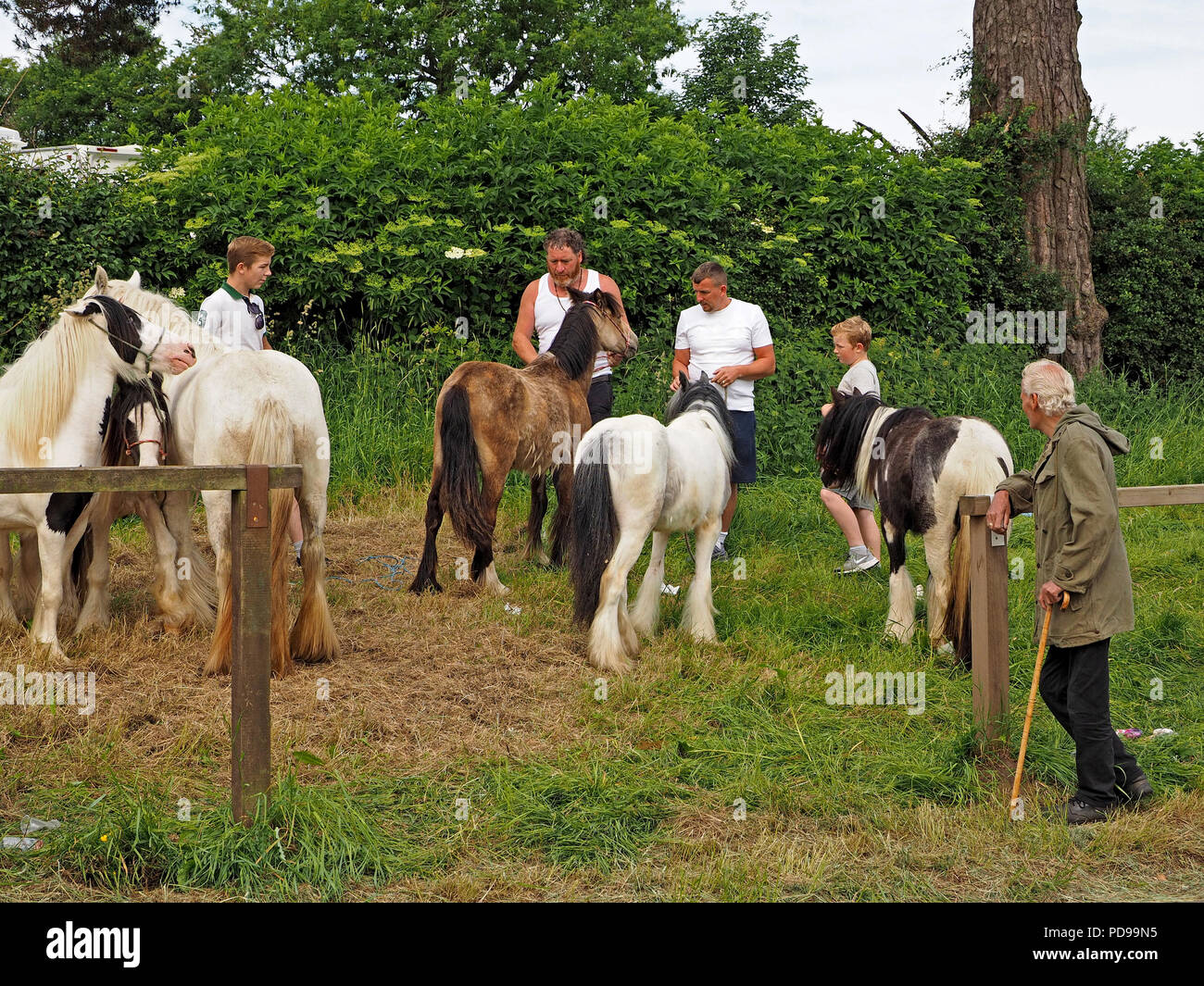 Men with young horses for sale at the annual Appleby Horse Fair at