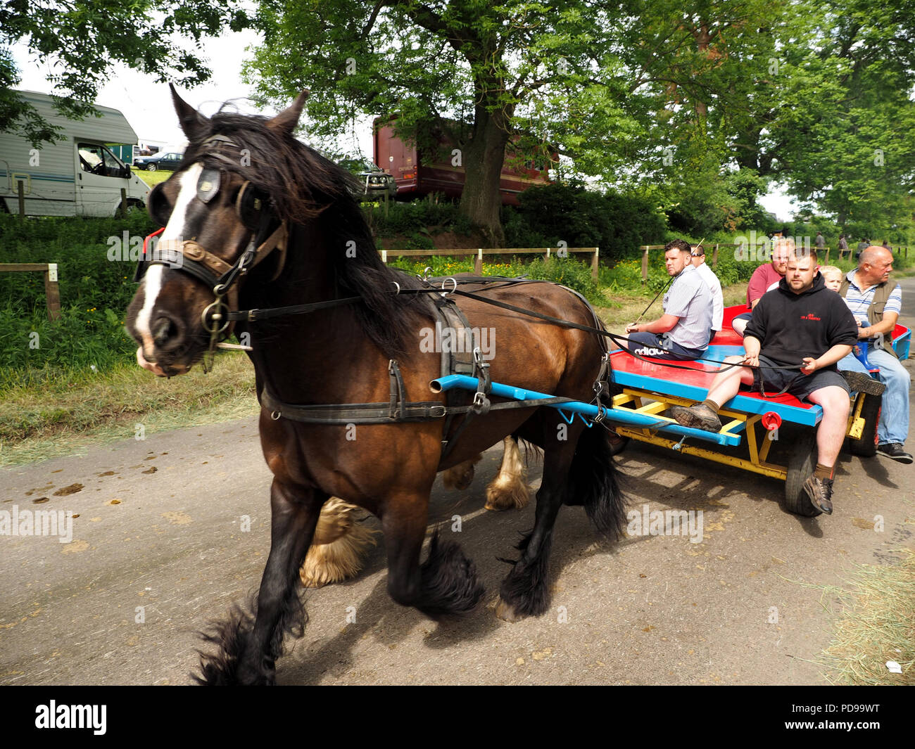 Horse pulling cart hires stock photography and images Alamy