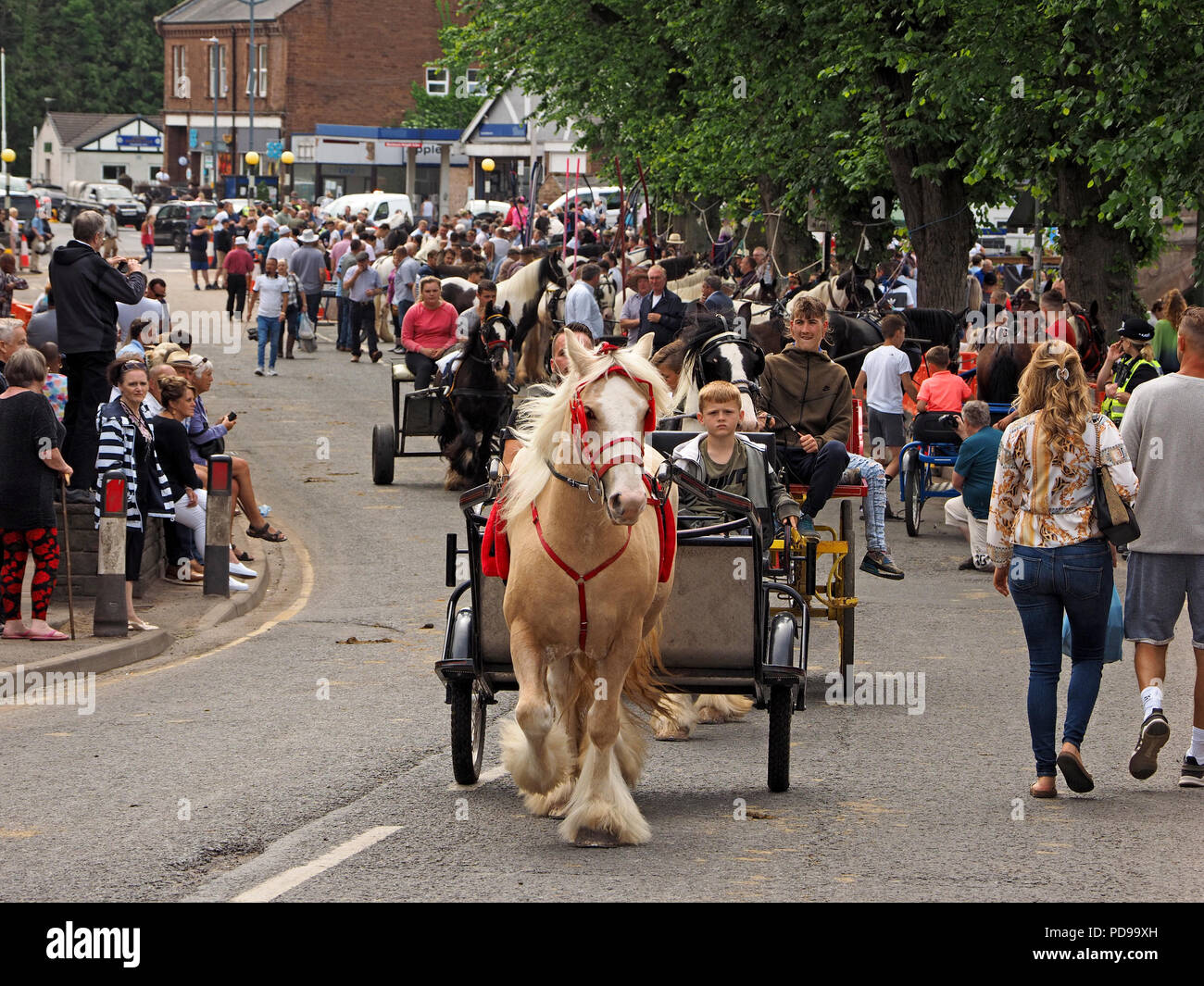 crowds watch a series of Horse and traps riding up Fair Hill at the