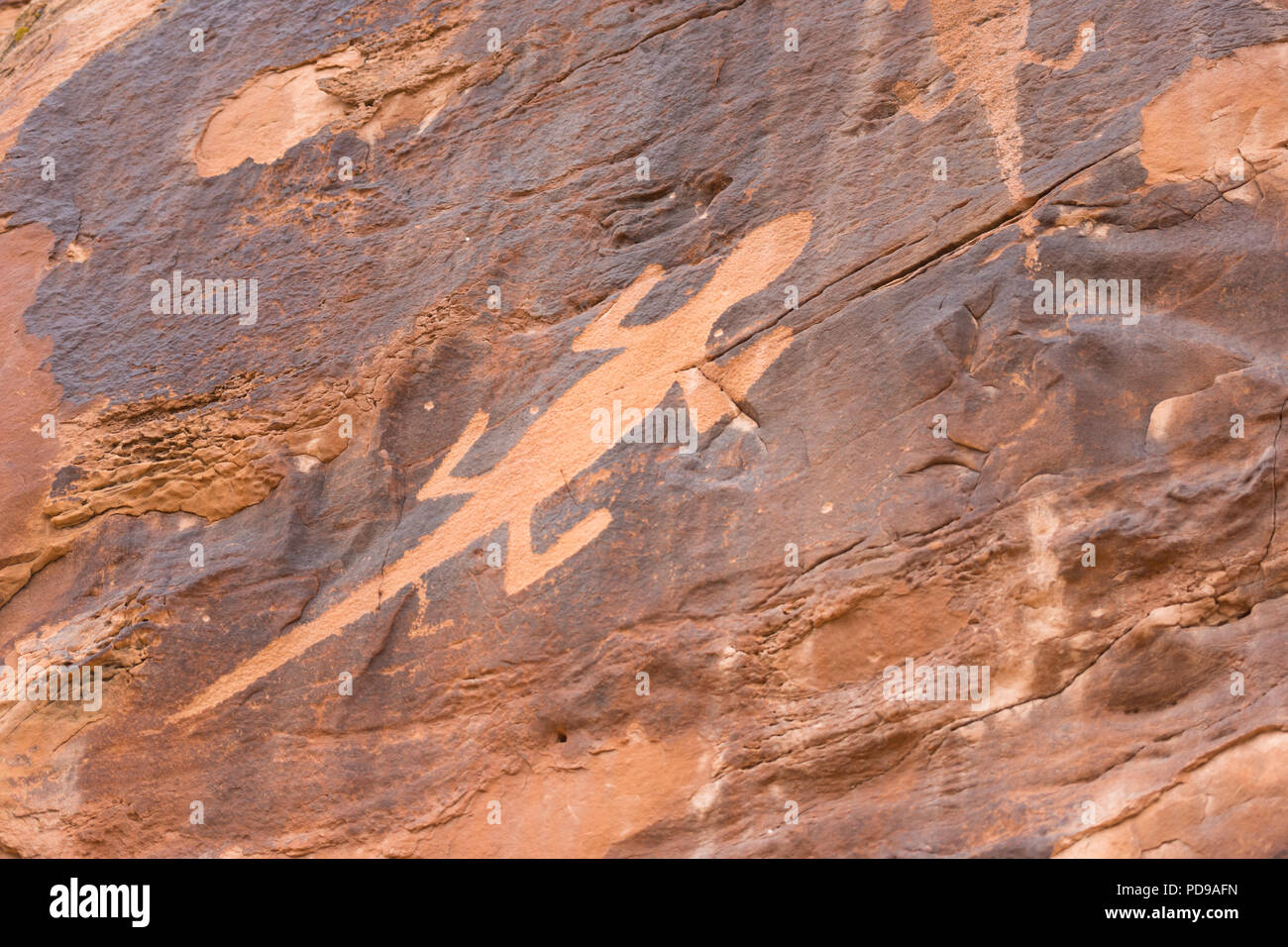 Clean rock carving of lizard on wall Stock Photo