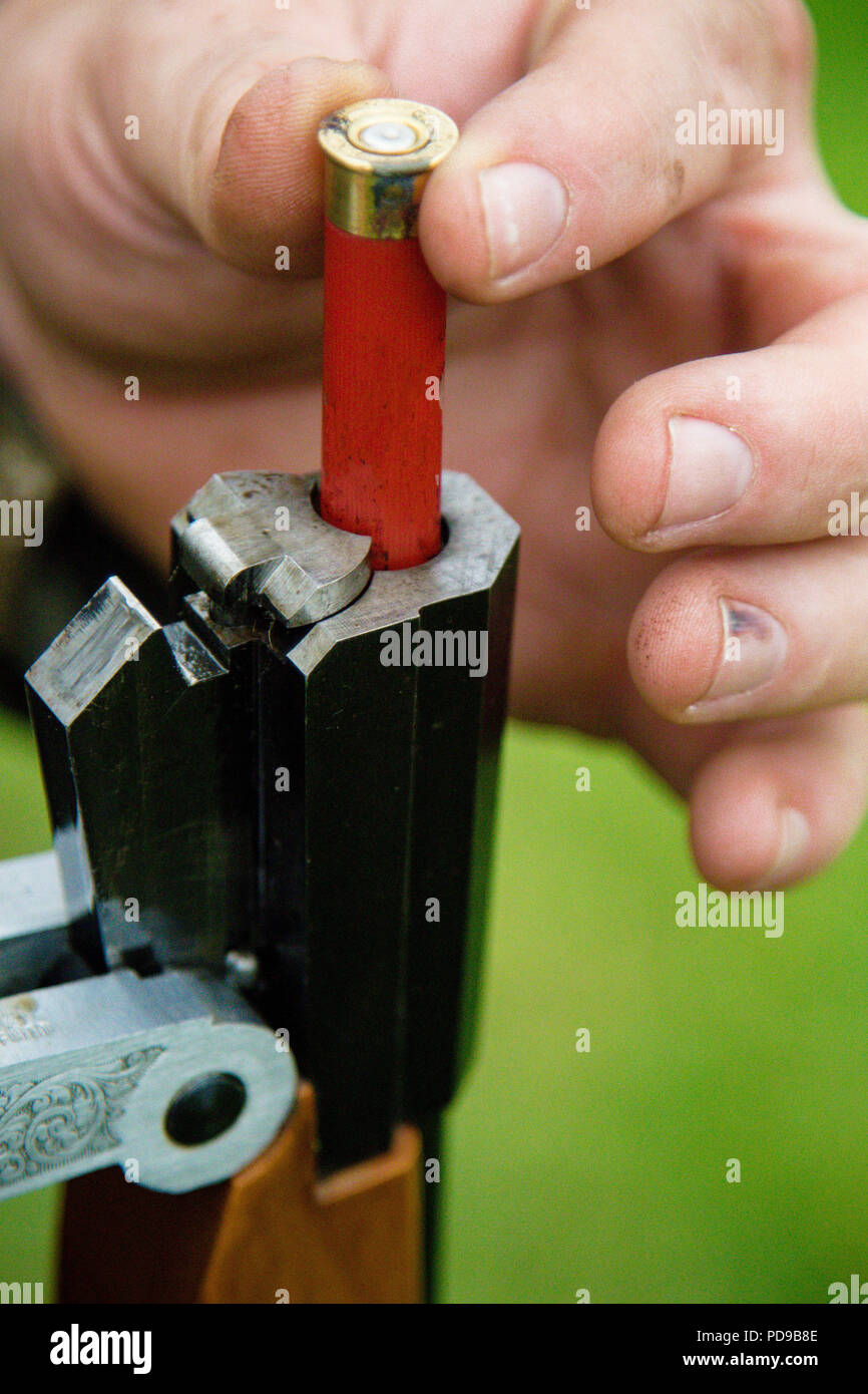 Loading a cartridge into a single barreled shotgun Stock Photo Alamy