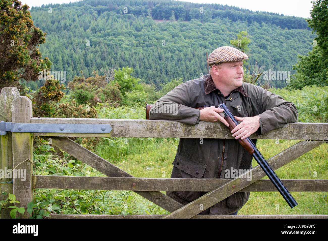 Farmer leaning on a wooden gate holding a broken shotgun Stock Photo