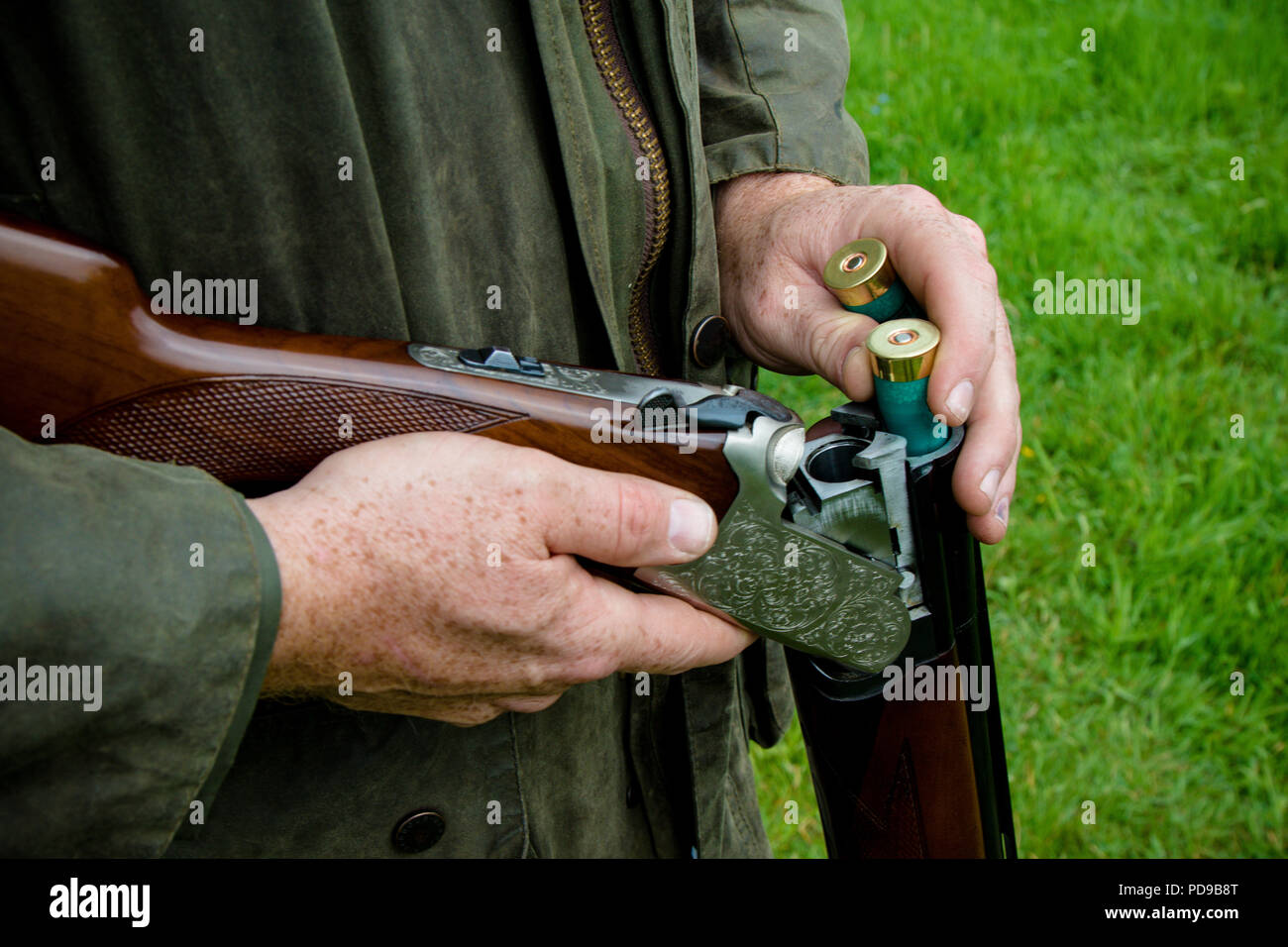 Loading a double barreled shotgun with new cartridges Stock Photo