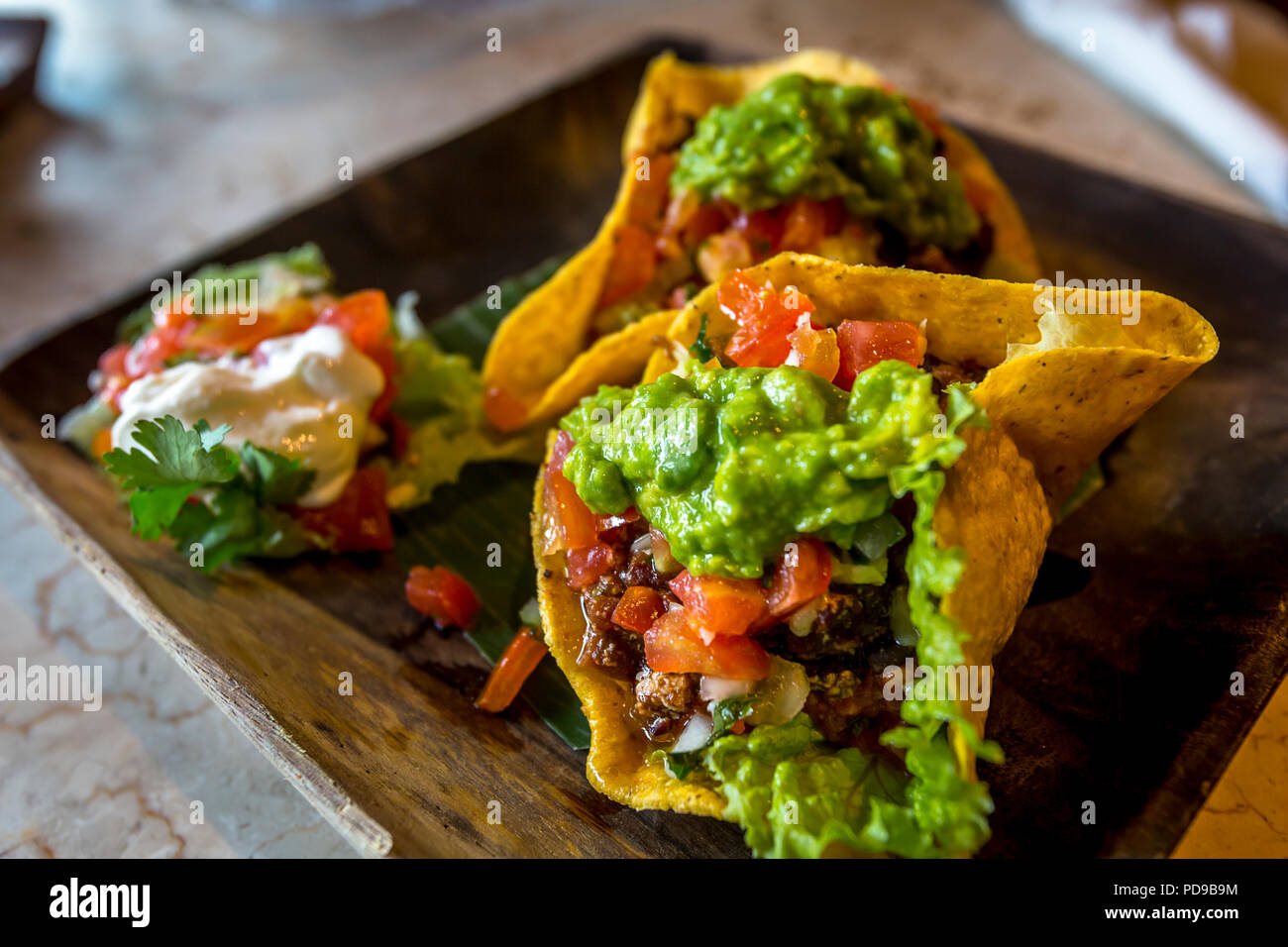 Hard Shell tacos with lettuce, cilantro, tomato, ground beef, and sour cream as served in Indonesia. Stock Photo