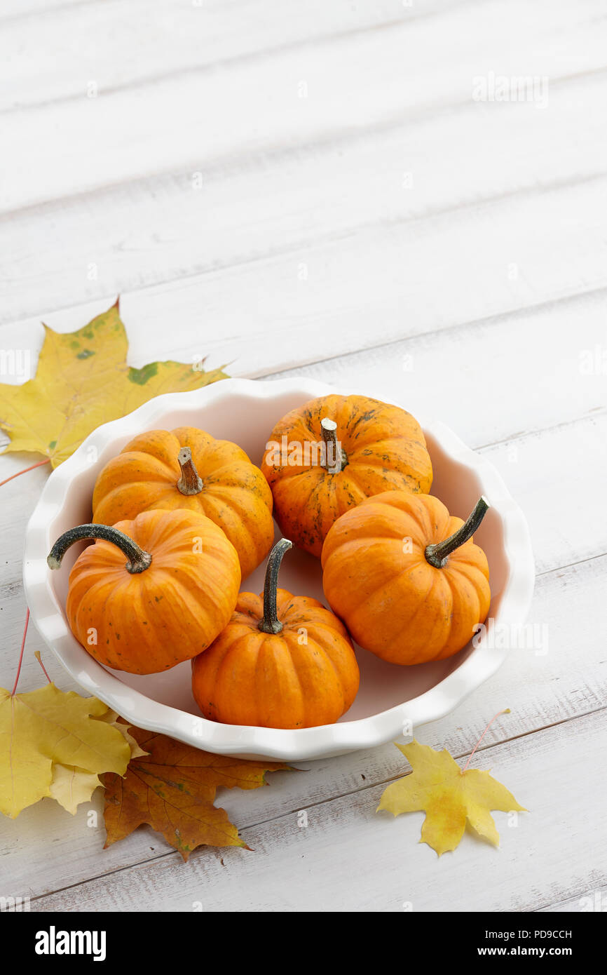 Mini orange pumpkins in a white dish on wooden background Stock Photo