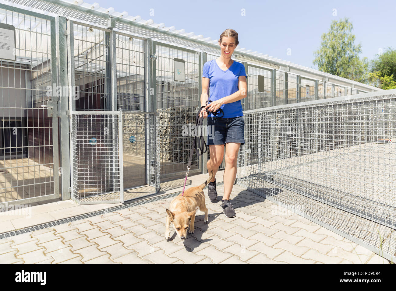 Woman walking a dog in animal shelter Stock Photo