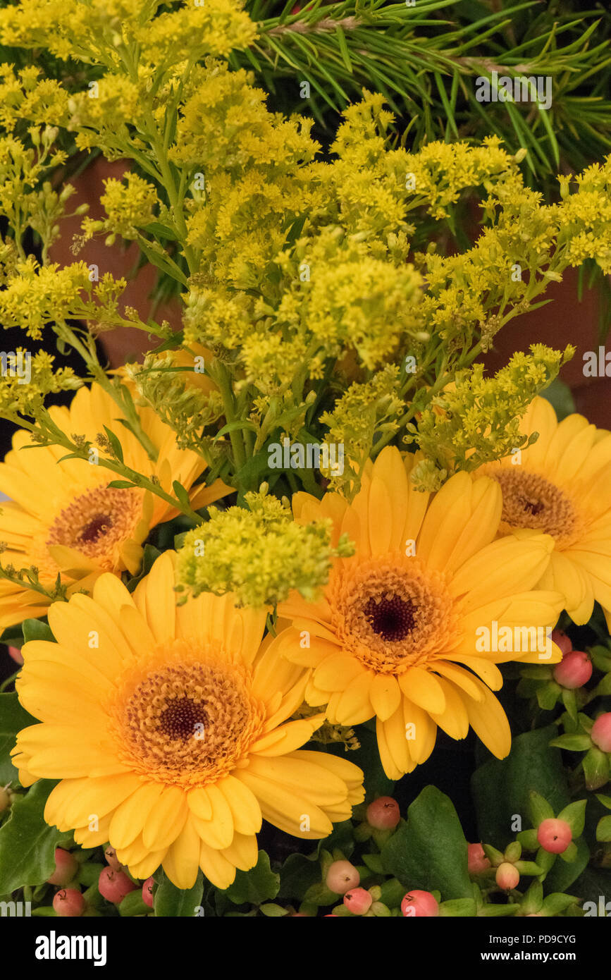 Bouquet of yellow gerbera and goldenrod flowers with sprigs of rosemary and hypericum / St John's Wort berries. Stock Photo