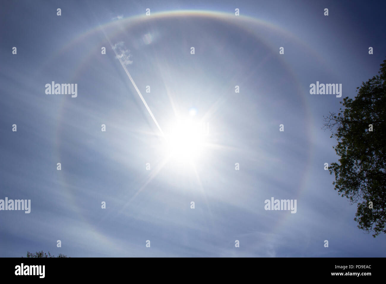 Stockholm, Sweden - August 6 2018: Circular rainbow around the sun - which has an airplane flying into it. Meteorological phenomenon. Stock Photo