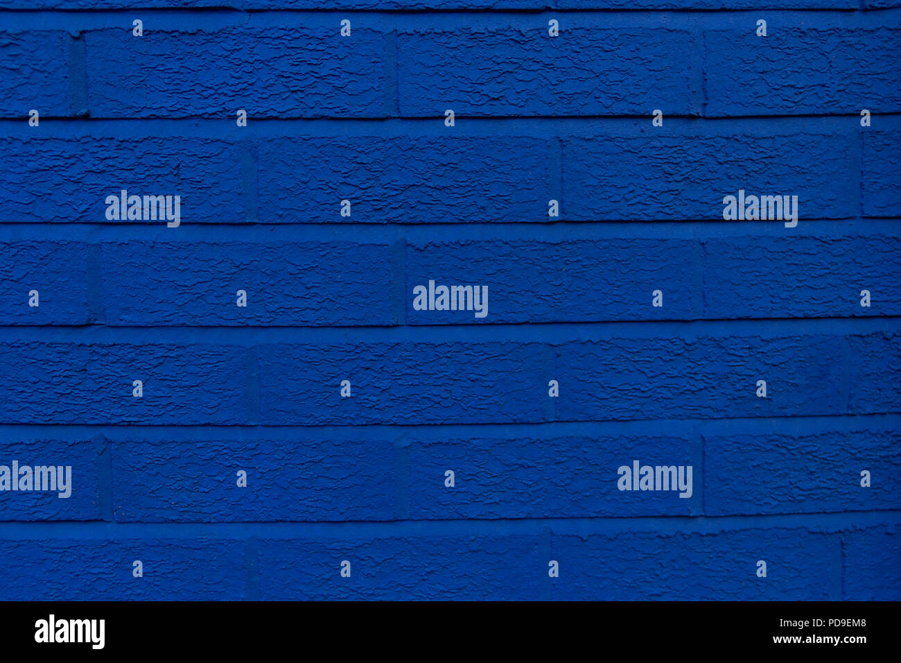 Closeup of the bluebonnet, blue, navy blue, dark blue,indigo painted brick wall Stock Photo