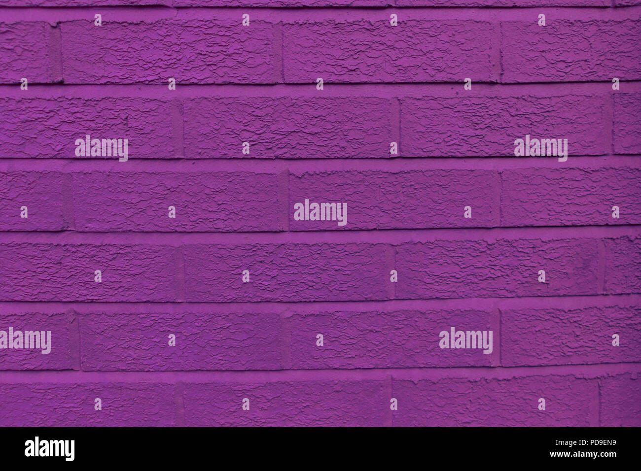 Close-up of the purple amaranth almost fuchsia, ultra violet, Pantone brick wall background Stock Photo