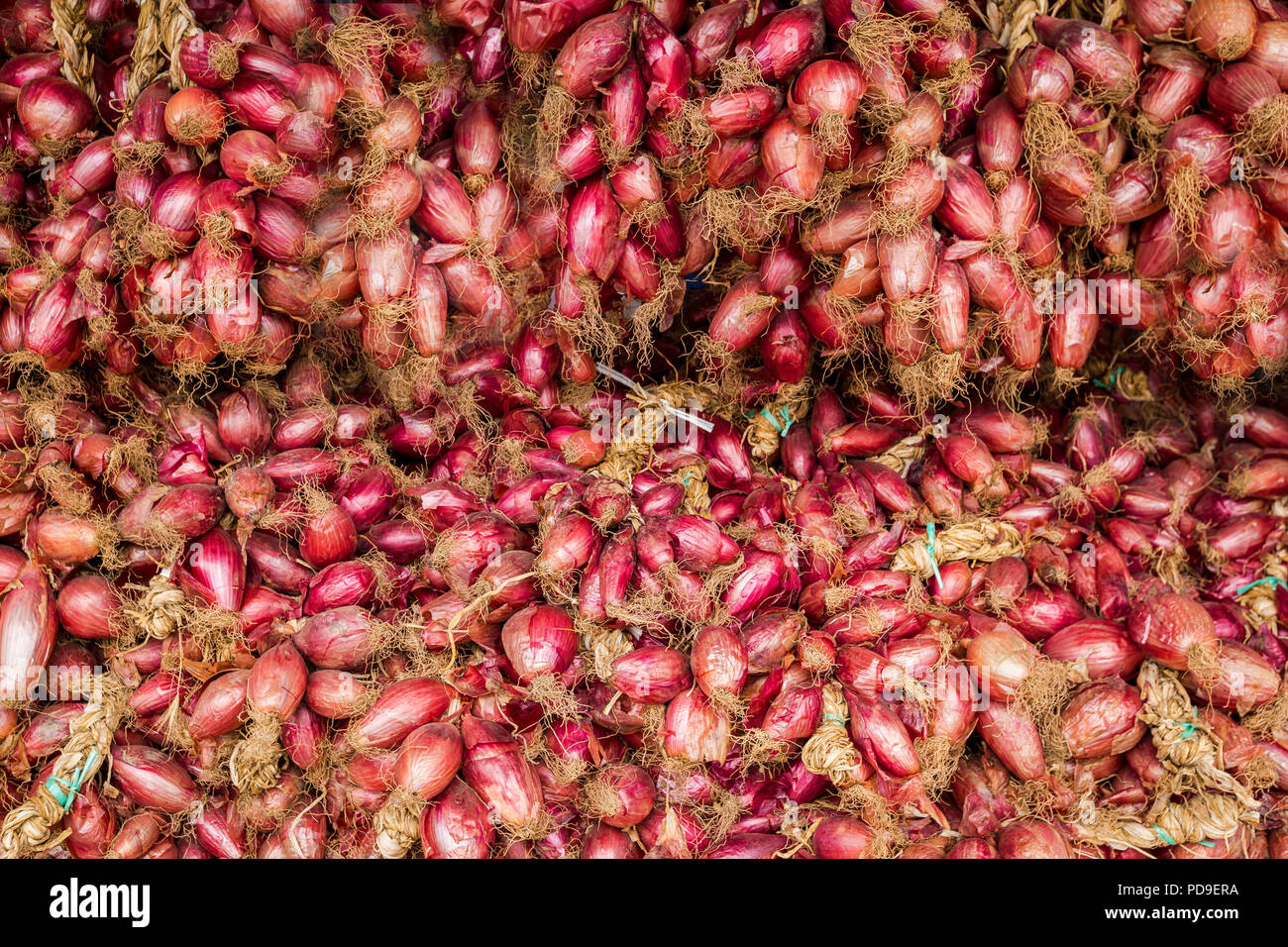 The sweet red onion of tropea hi-res stock photography and images - Alamy