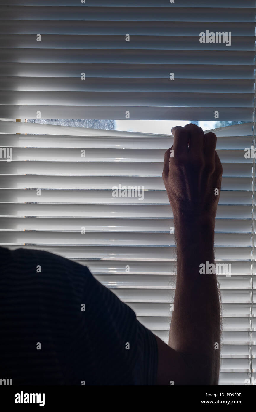 Fear of visitors or cold callers middle aged man peeps through gap in venetian blinds and looks outside for burglars cause of disturbance, agoraphobia Stock Photo