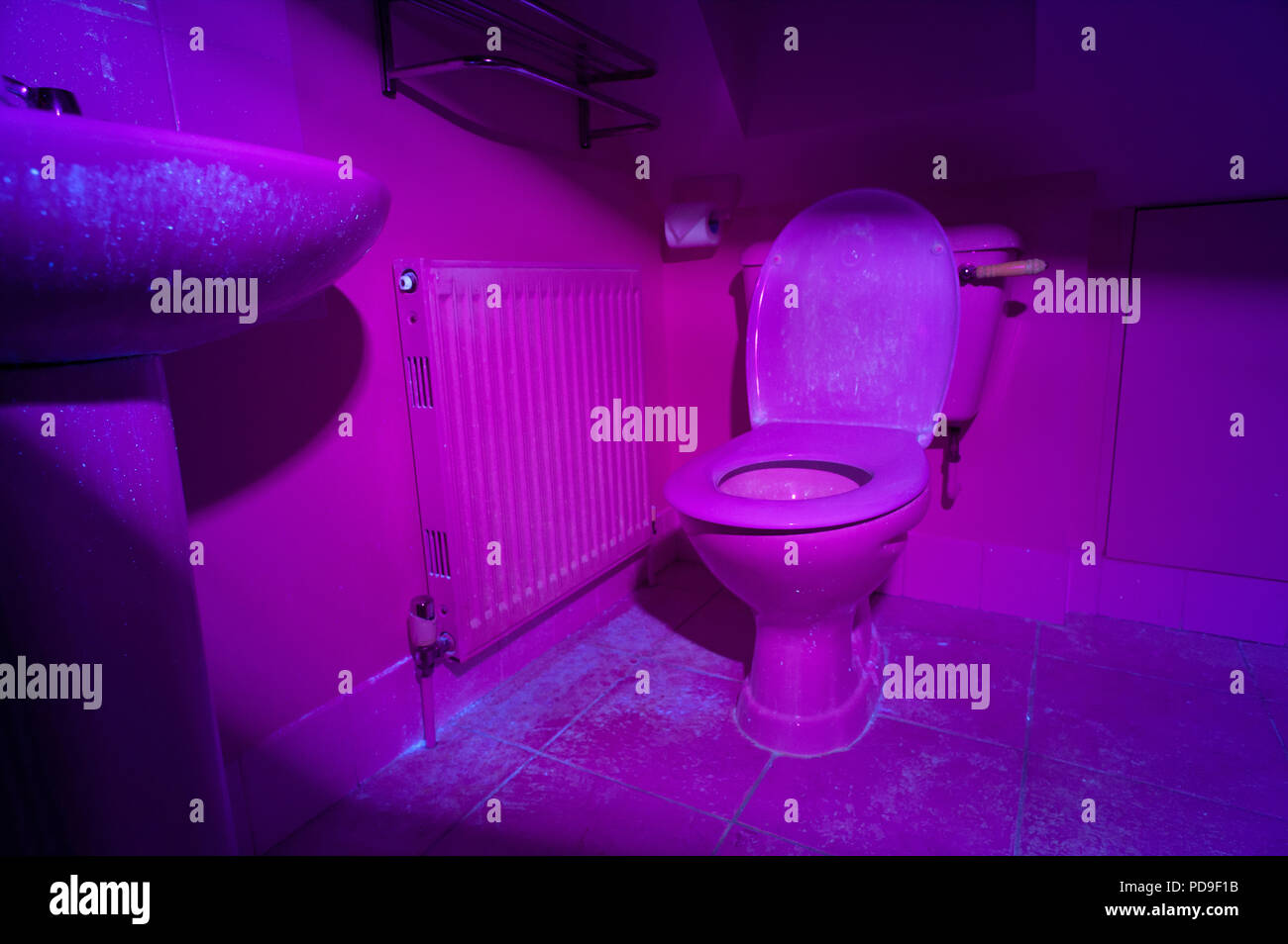 https://c8.alamy.com/comp/PD9F1B/moving-house-uv-induced-fluorescence-in-the-bathroom-which-seeded-perfectly-clean-in-visible-light-glowing-traces-of-body-fluids-from-previous-owner-PD9F1B.jpg