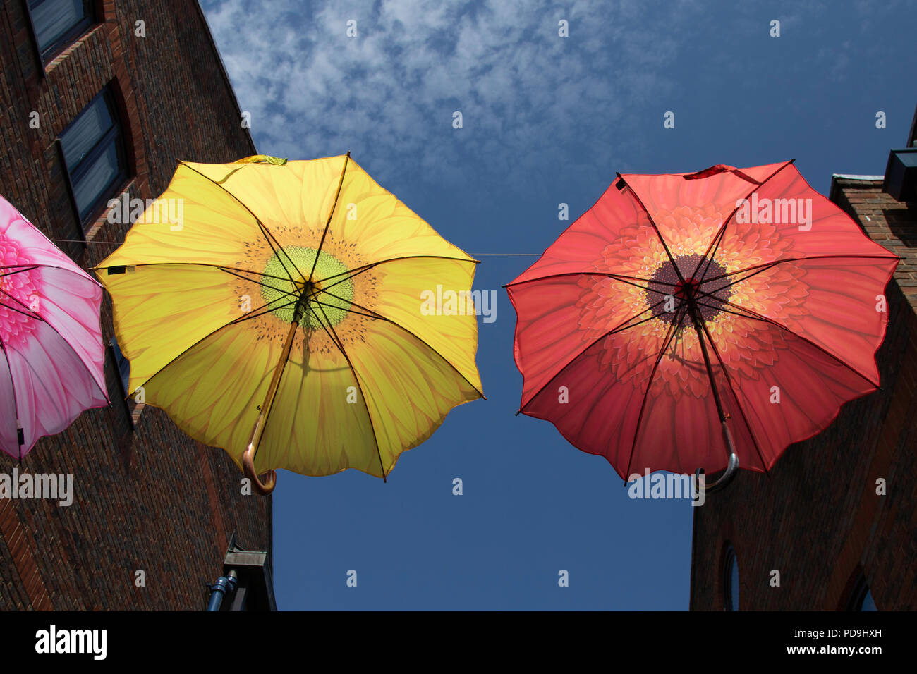 Yellow and red Umbrellas hanging over Coppergate Shopping Centre,York,North Yorkshire,England,UK