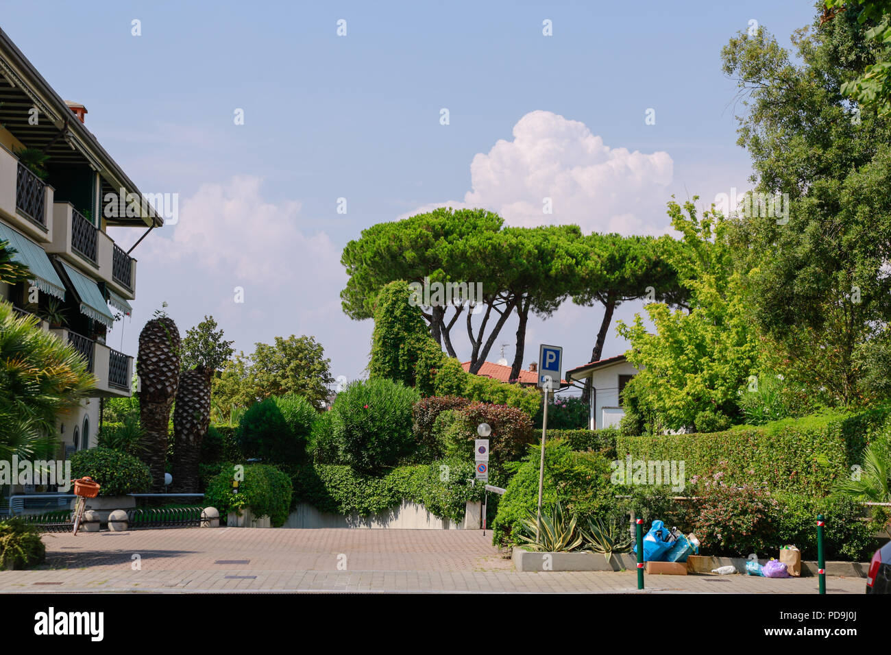 Forte dei Marmi, Versilia, Toscana, Italia, Europe Stock Photo Alamy