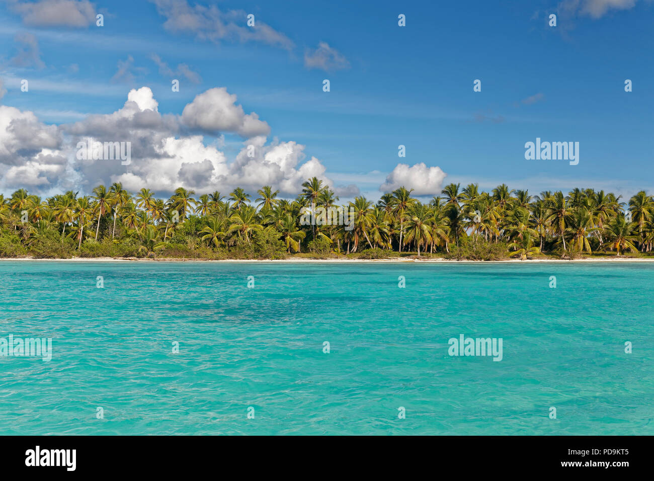 Dream beach, sandy beach with palm trees and turquoise sea, cloudy sky, Parque Nacional del Este, island Saona Island, Caribbean Stock Photo