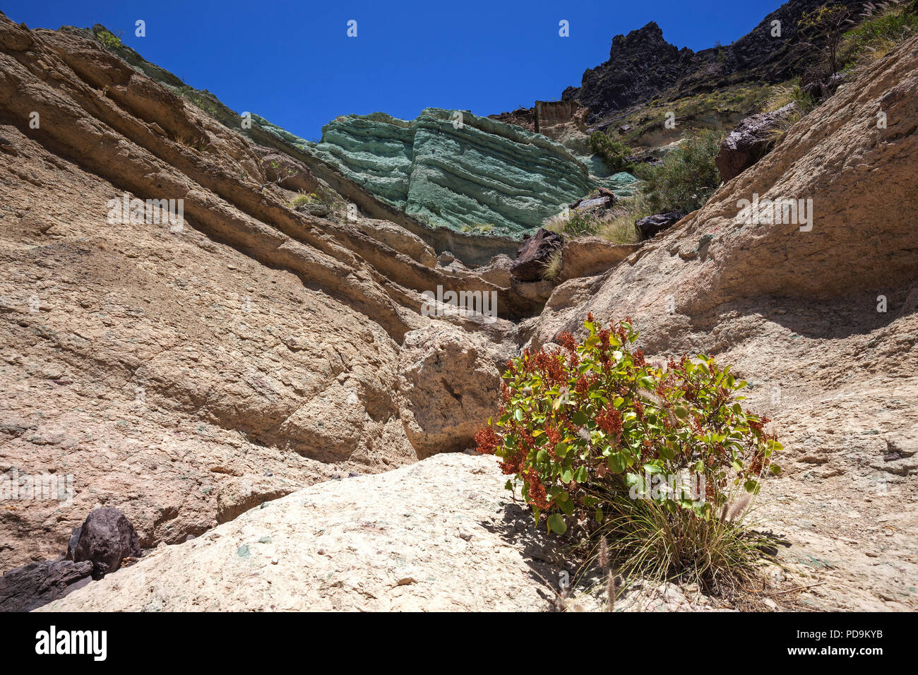 Turquoise colored rock layer Los Azulejos De Veneguera, volcanic rock steeped in sodium iron silicate, at Mogan, Gran Canaria Stock Photo