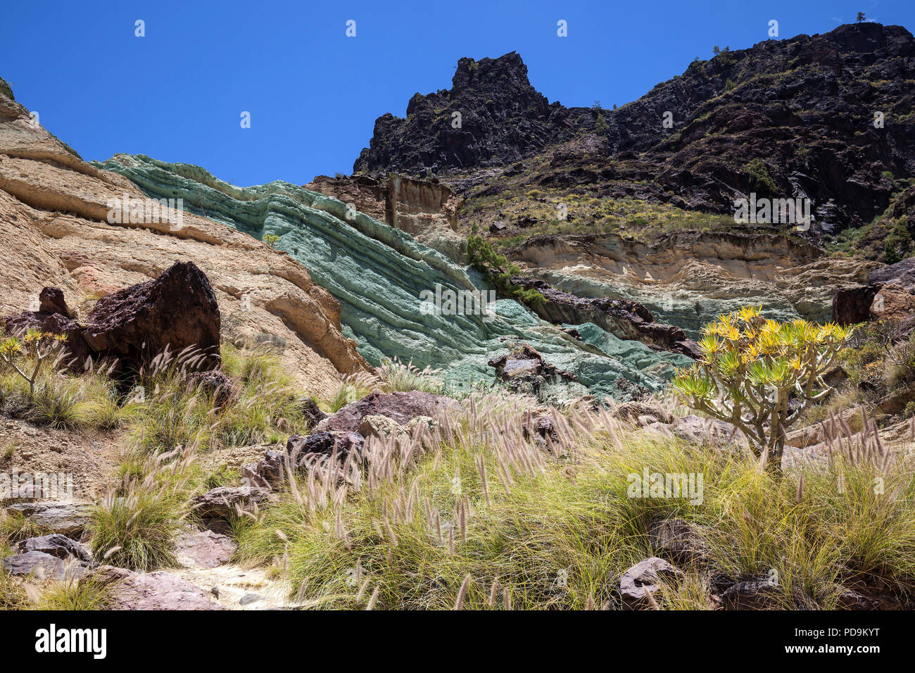 Turquoise colored rock layer Los Azulejos De Veneguera, Lamprey grass ...