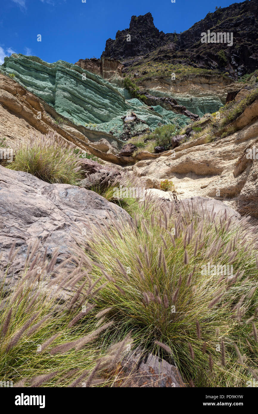 Turquoise colored rock layer Los Azulejos De Veneguera, Lamprey grass ...