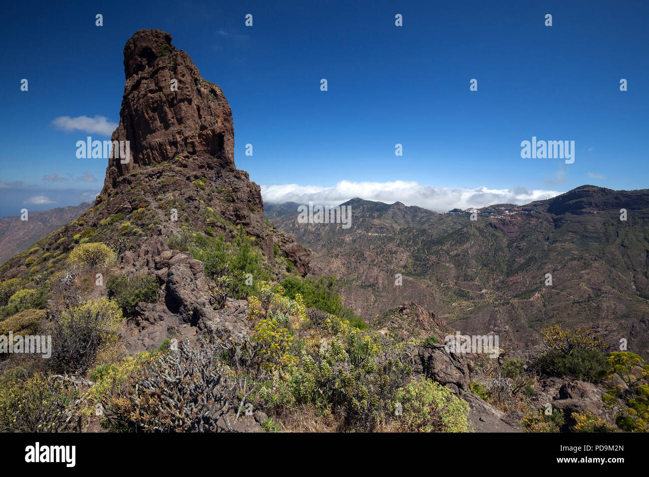 Roque Bentayga, blooming vegetation, Gran Canaria, Canary Islands, Spain Stock Photo