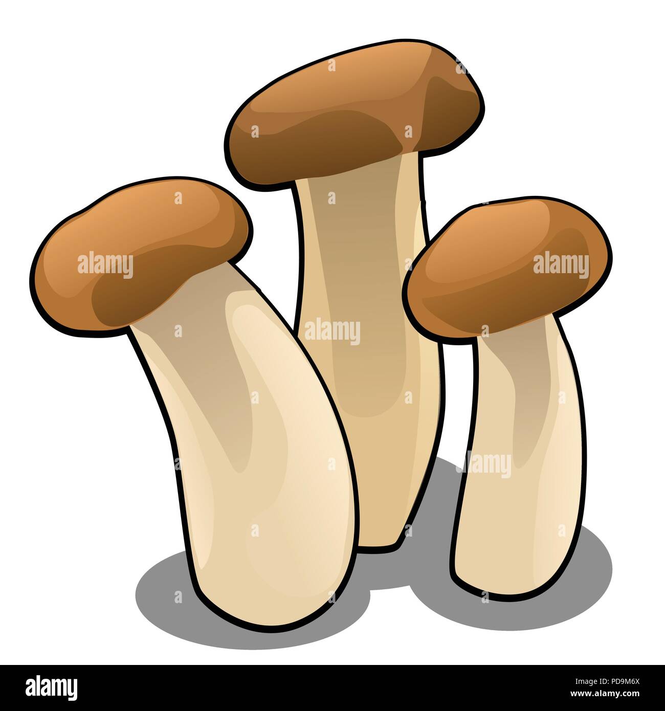 Group of forest cartoon mushrooms isolated on white background close-up. Vector cartoon close-up illustration. Stock Vector