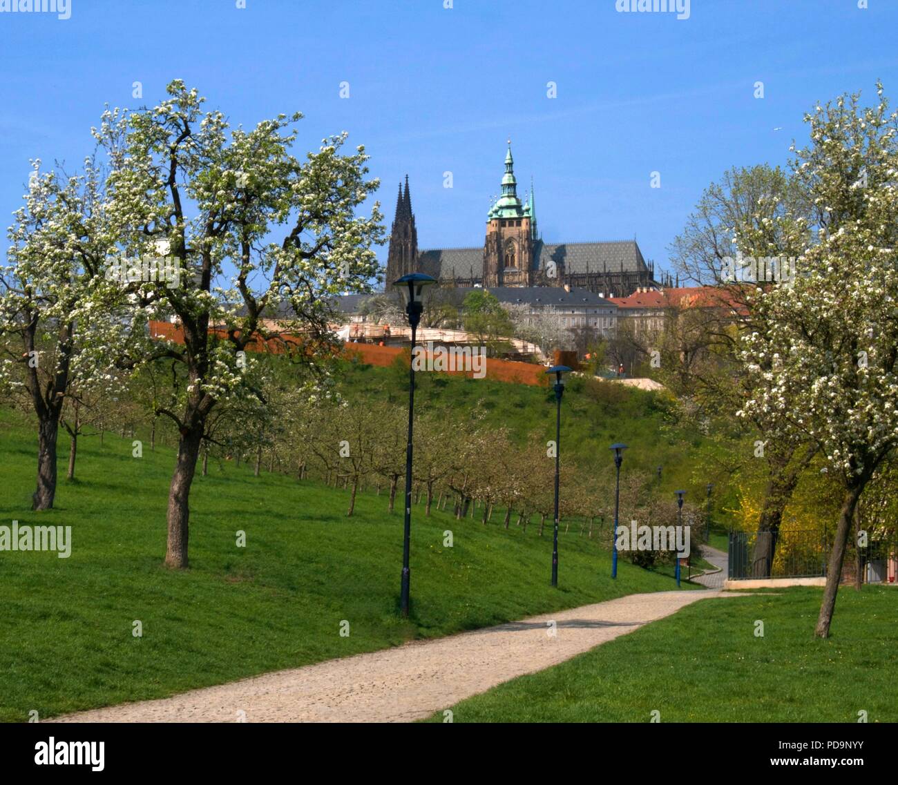 View of Prague Castle from Petrin Park, Czech Republic Stock Photo