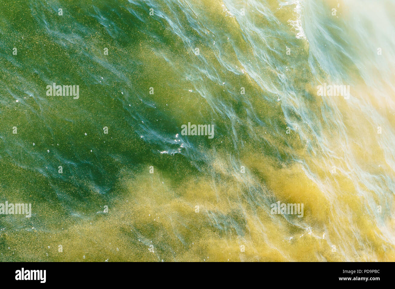 Yellow green algae hires stock photography and images Alamy