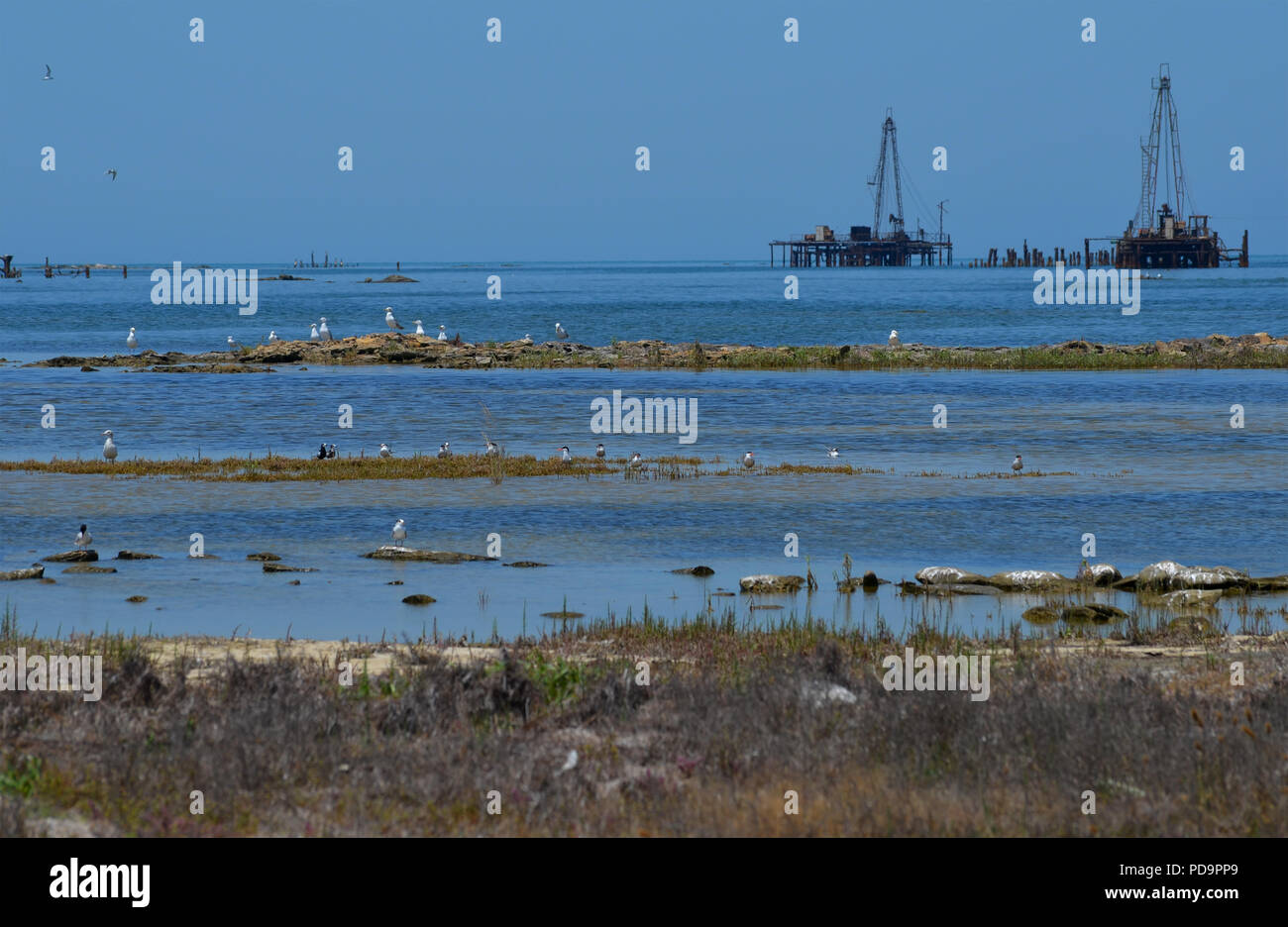 Caspian Sea pollution. Oil rigs close to the shore in Artyom island, Azerbaijan Stock Photo