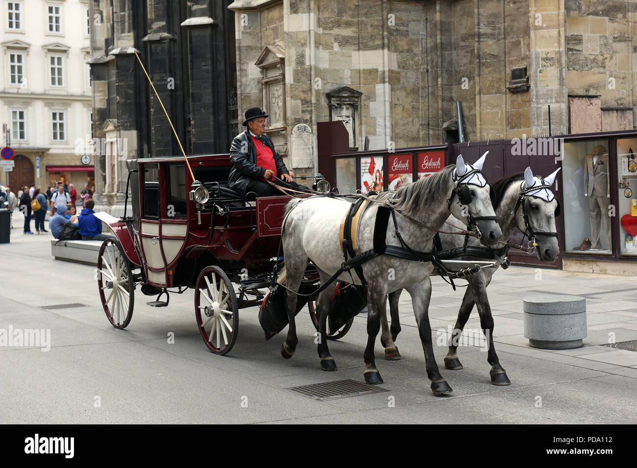 Horses and coaches coach rides in Vienna, Austria Stock Photo Alamy