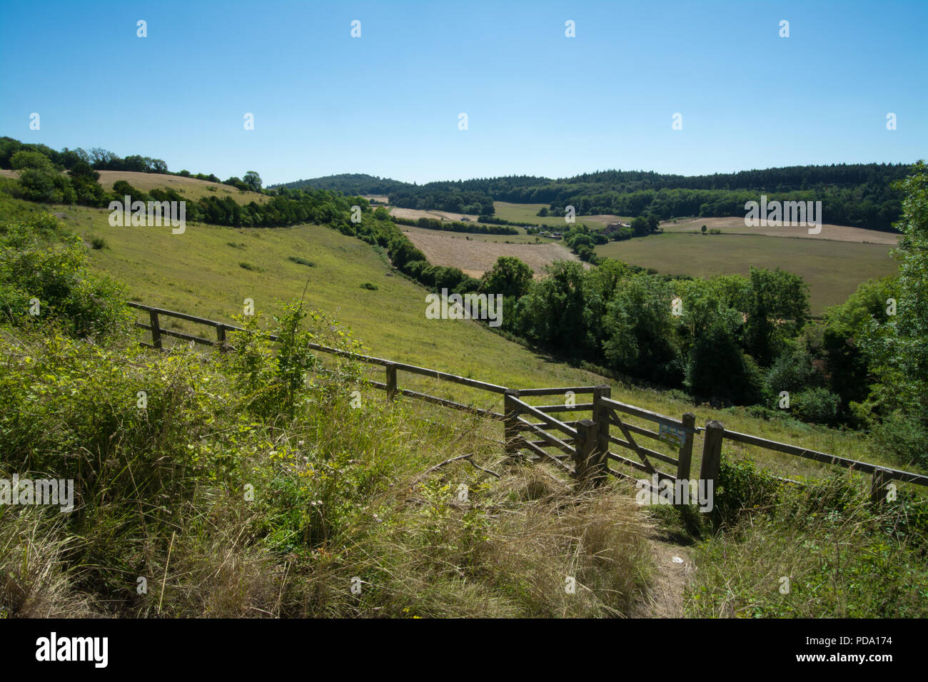 Pewley Down landscape in summer, a chalk downland site in the North Downs near Guildford, Surrey, UK. Stock Photo