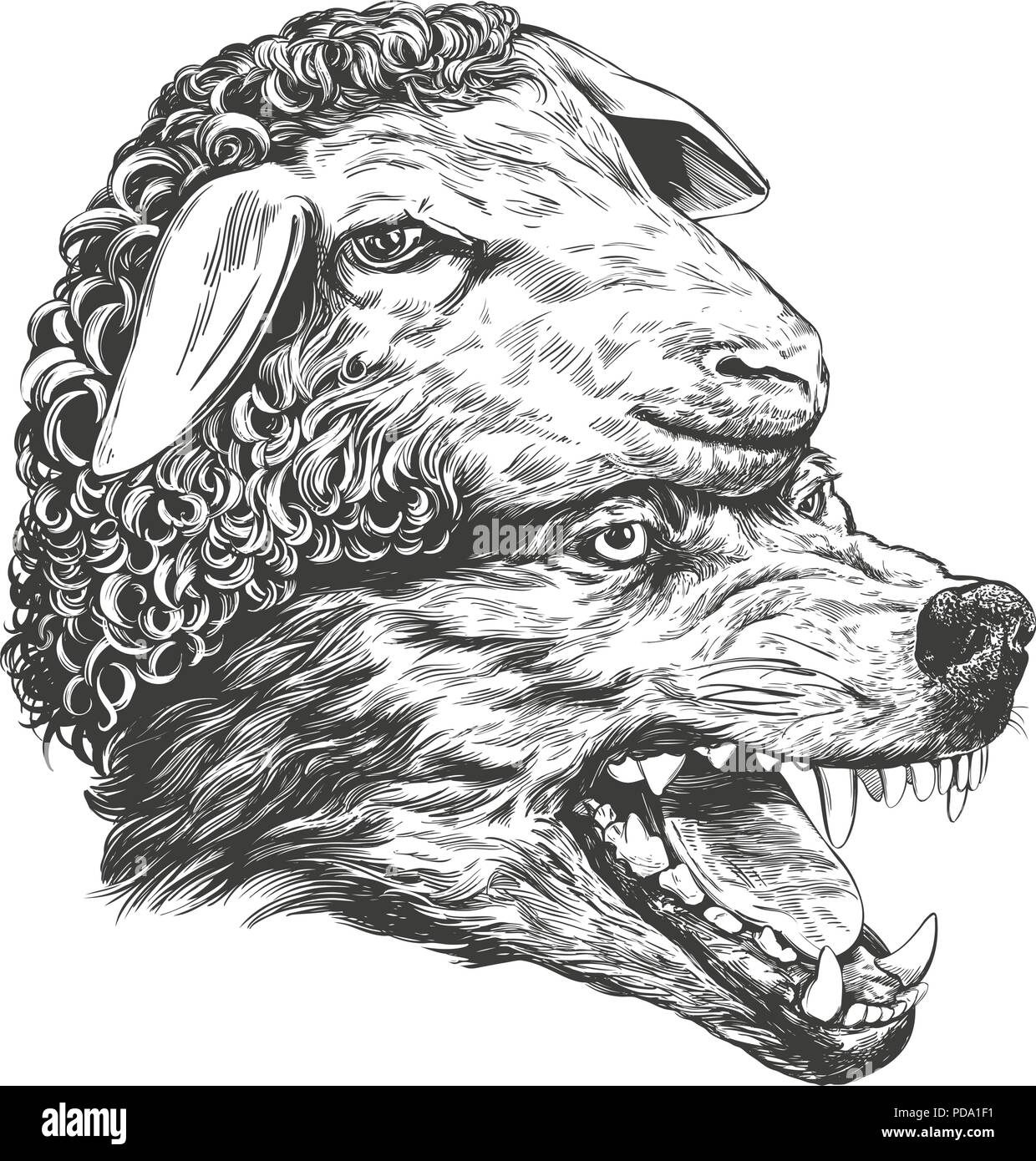 realistic drawings of wolves growling