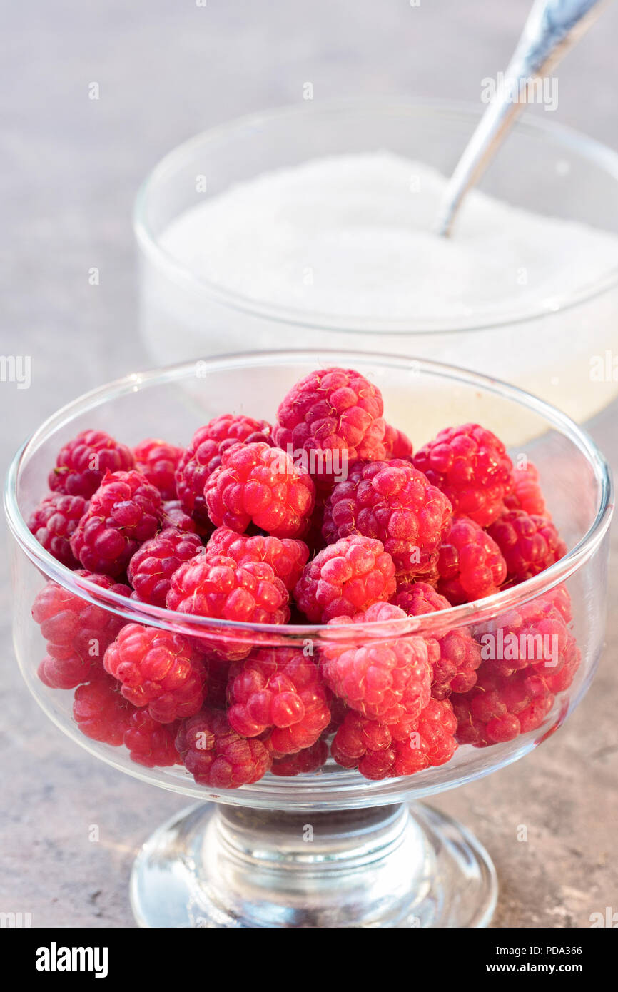 Glass of fresh raspberries and white sugar gardening gastronomy harvest Stock Photo