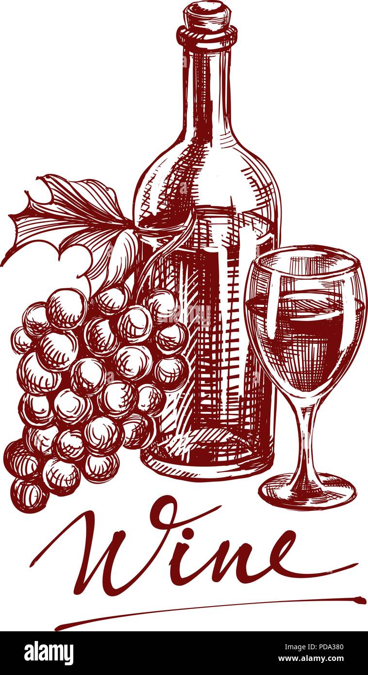 collection wine hand drawn vector llustration sketch Stock Vector
