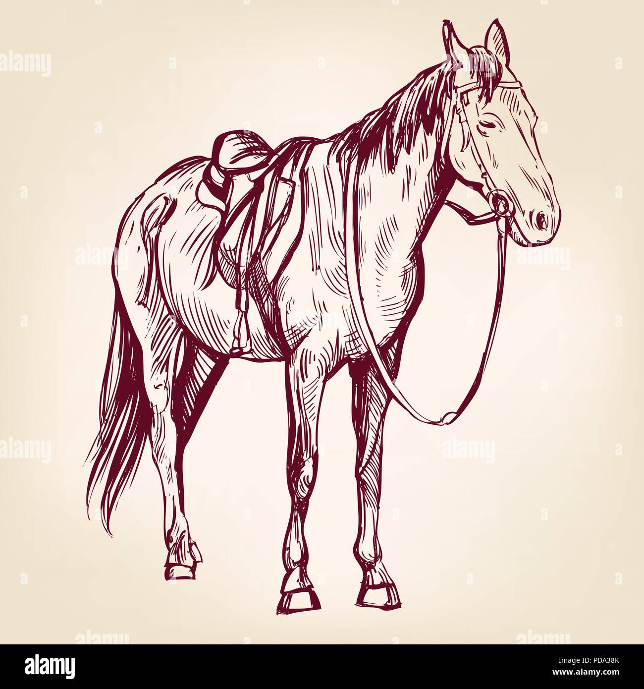 horse hand drawn vector llustration sketch Stock Vector