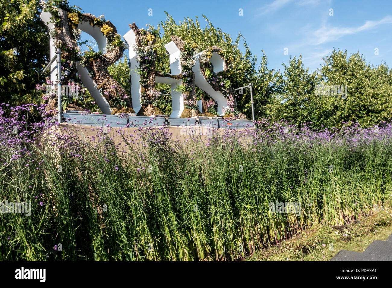The letters RHS, initials of the Royal Horticultural Society filled with plant material on a plinth above a mass planting of Verbena Bonariensis. Stock Photo