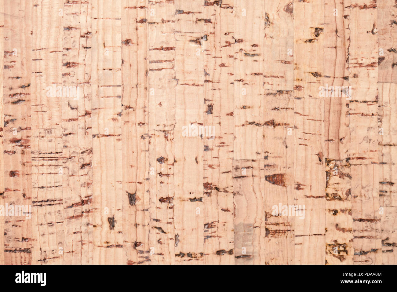 Flat cork plank, background photo texture Stock Photo