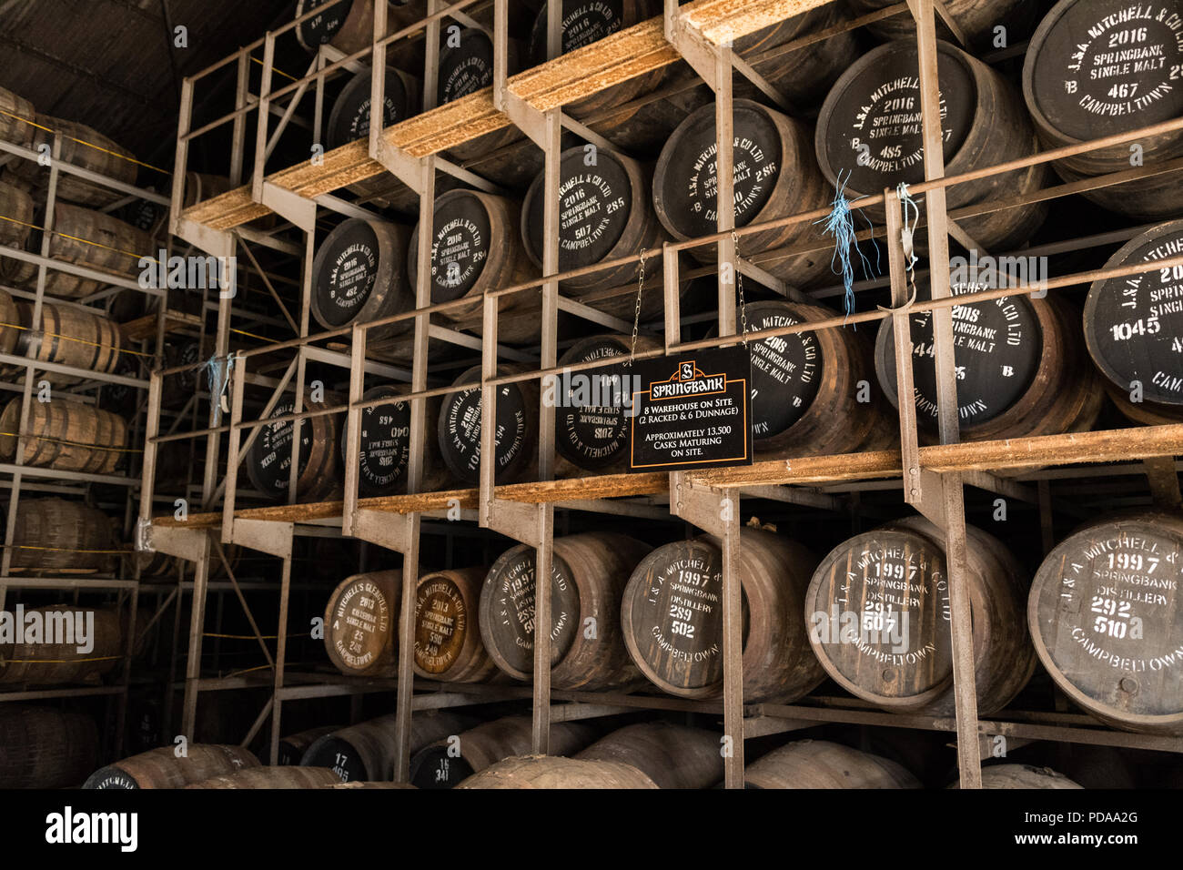 Springbank Distillery racked warehouse full of maturing whisky casks, Campbeltown, Argyll and Bute, Scotland, UK Stock Photo