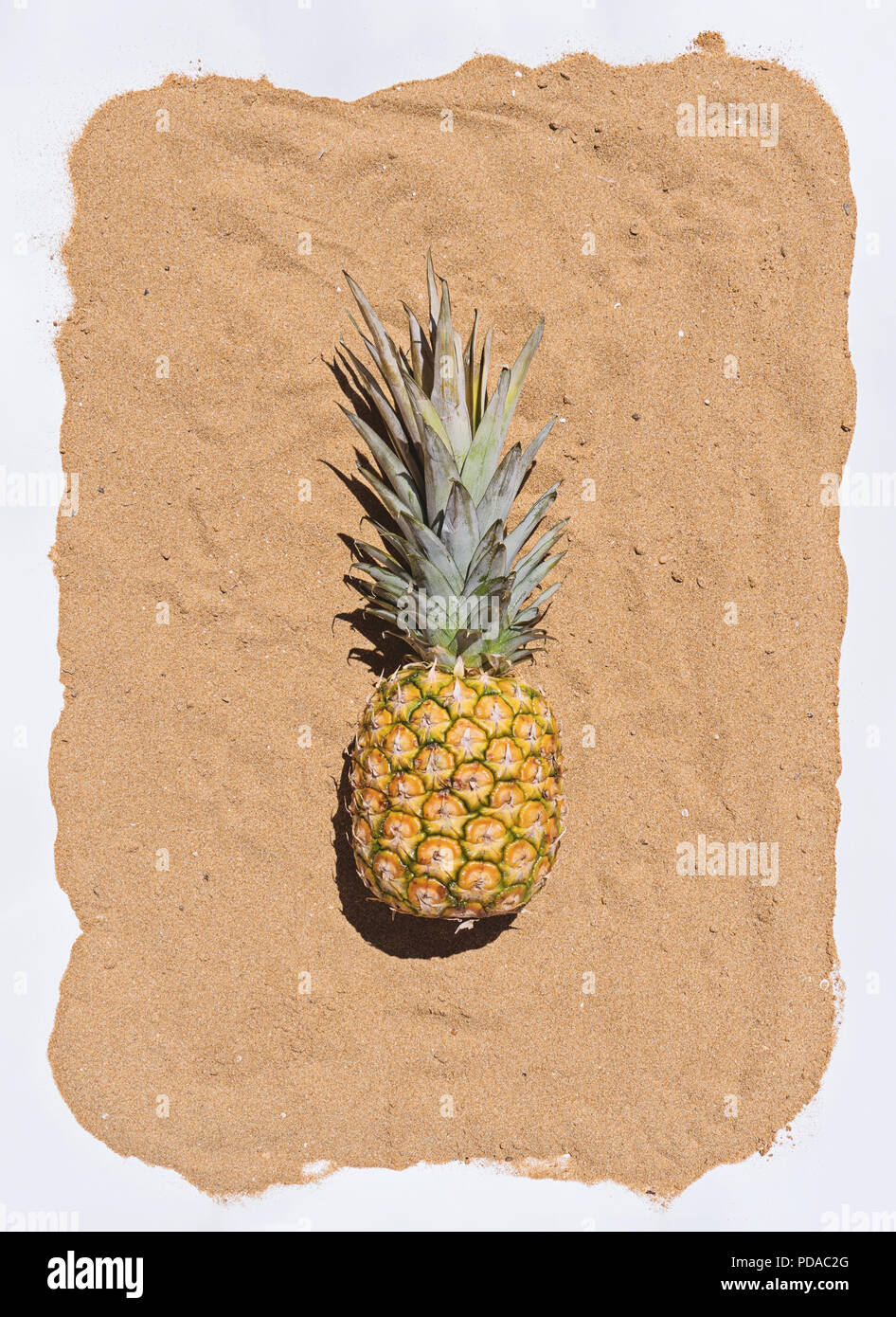 Pop Art Pineapples Wallpaper for Walls