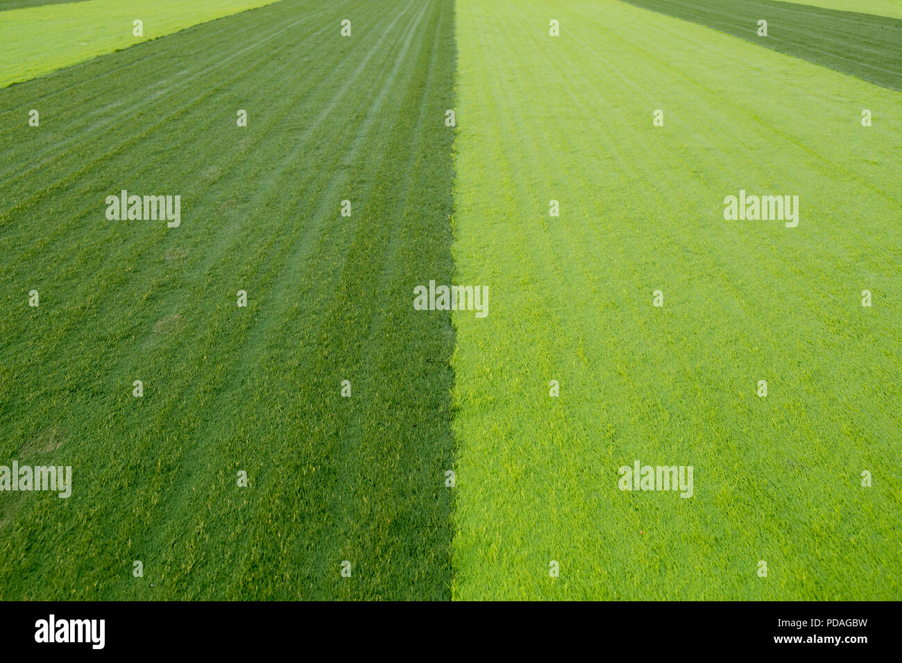 New soccer field with light and dark green artificial grass Stock Photo