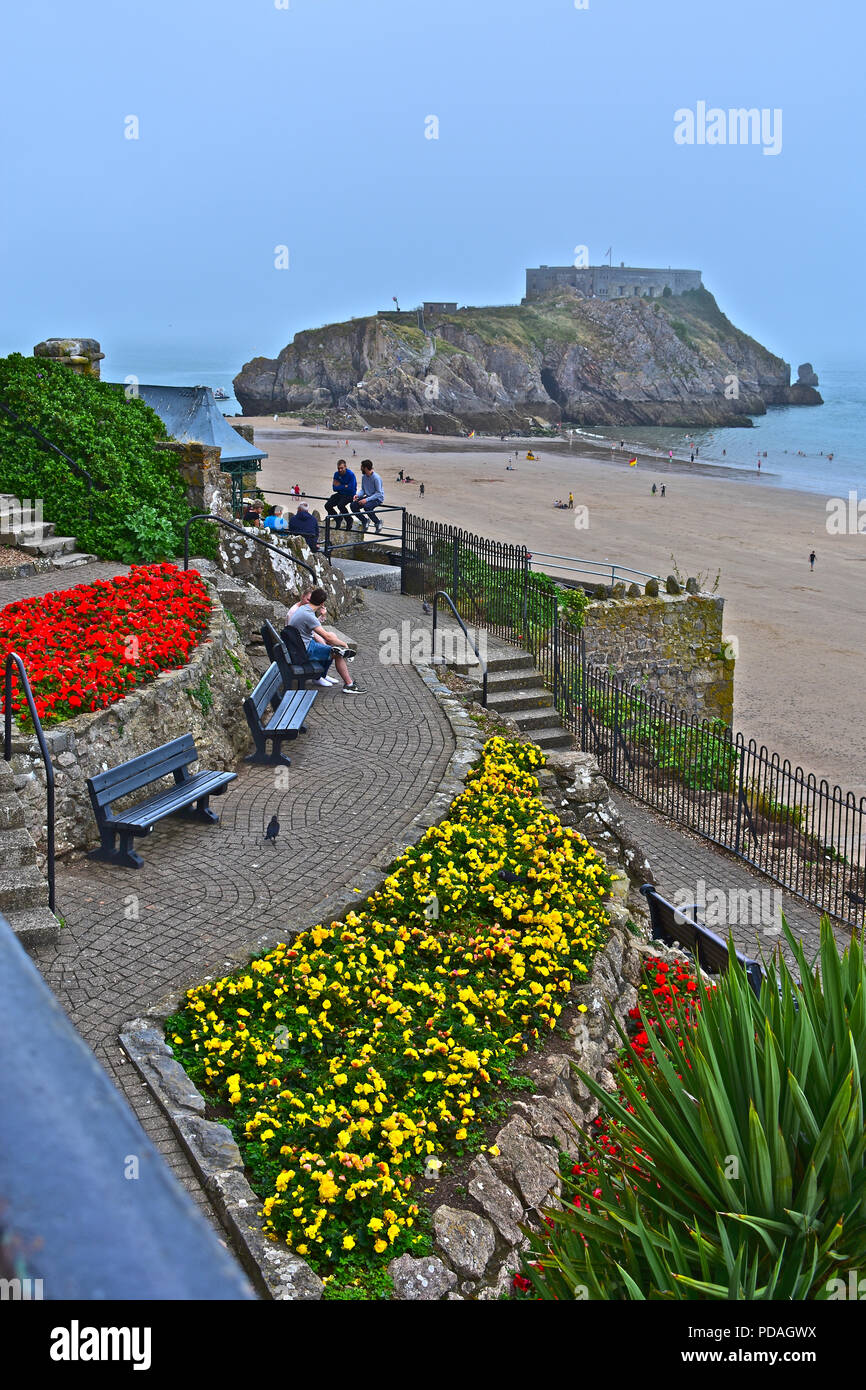 The view across south beach towards St Catherine's Island or Fort, Tenby,W.Wales. Pretty flowers in foreground. Stock Photo