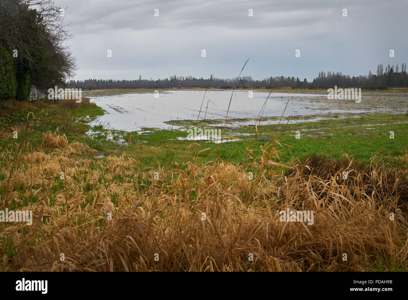 Rain flooded farm field crop hires stock photography and images Alamy