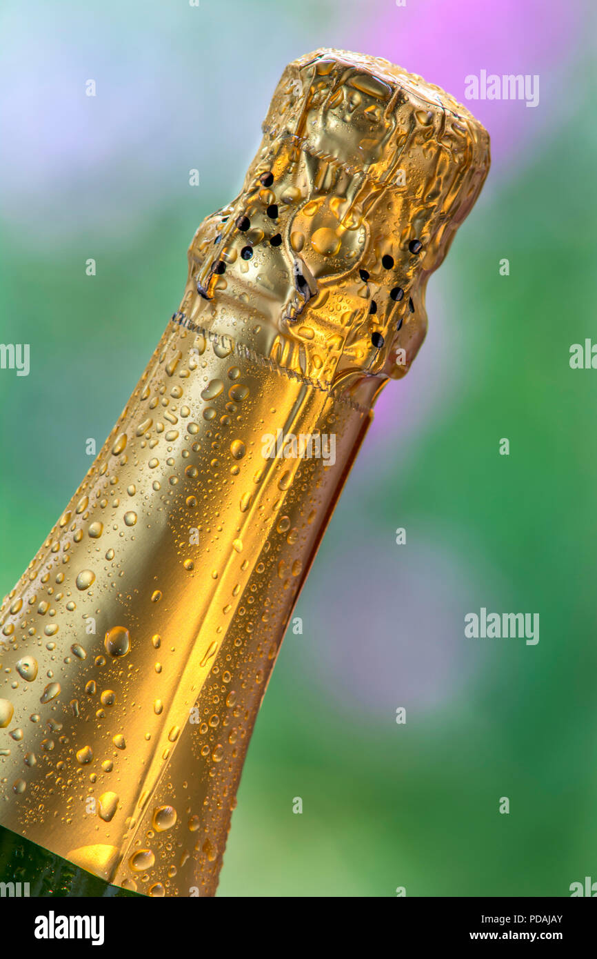 Gold foil capsule closure on chilled alfresco sparkling wine bottle neck in floral garden Stock Photo